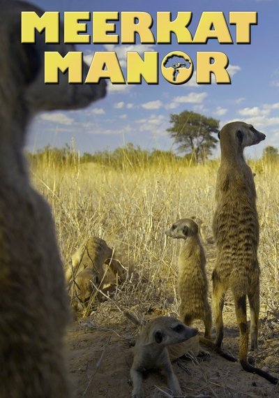 Póster de Meerkat Manor