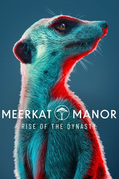 Póster de Meerkat Manor: Rise of the Dynasty