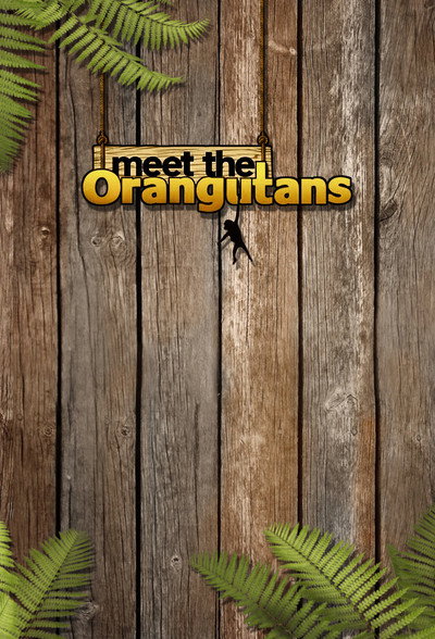 Póster de Meet the Orangutans