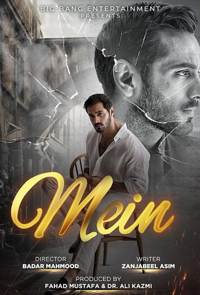 Póster de Mein