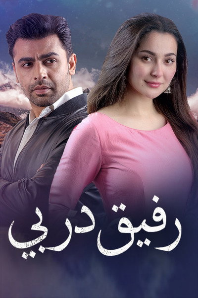 Póster de Mere Humsafar