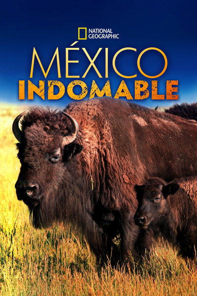 Póster de Mexico Untamed