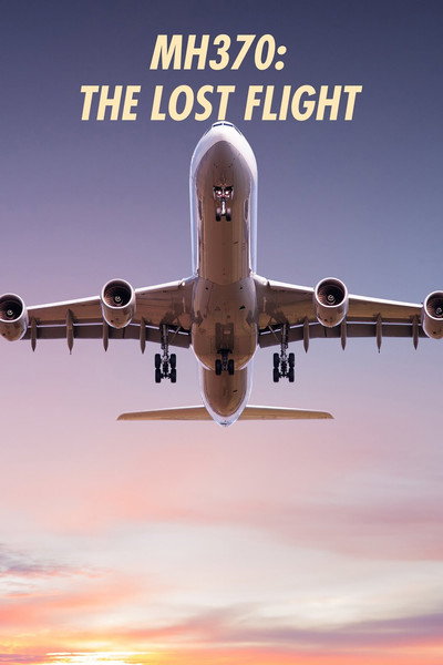 Póster de MH370: The Lost Flight