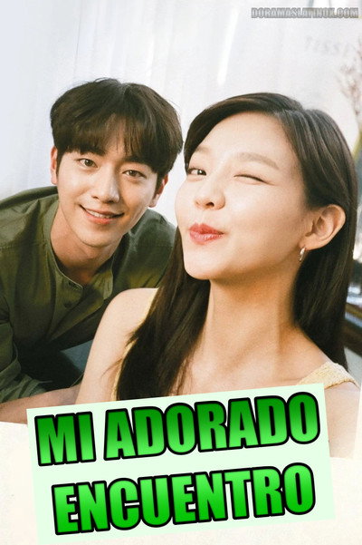 Póster de Mi adorado encuentro