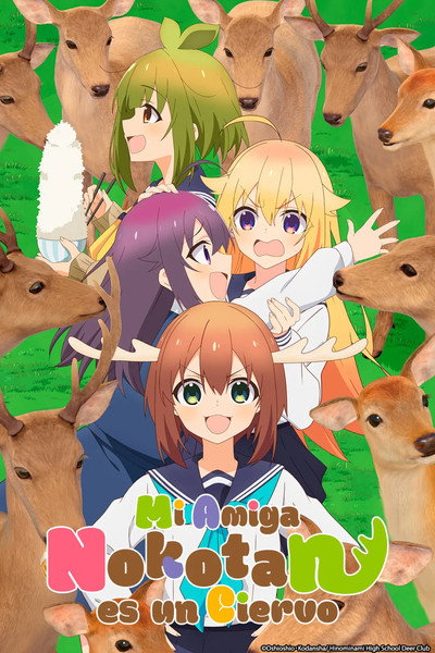 Póster de Mi amiga Nokotan es un ciervo