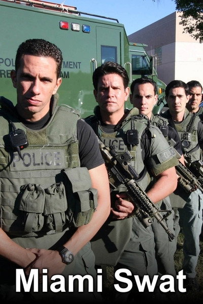 Póster de Miami Swat