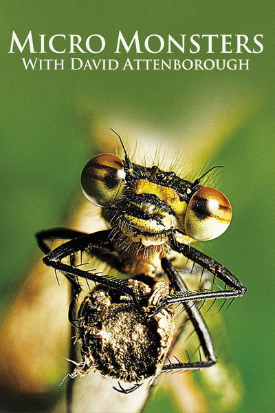 Póster de Micro Monsters 3D