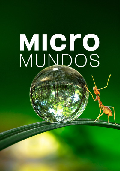 Póster de Micromundos