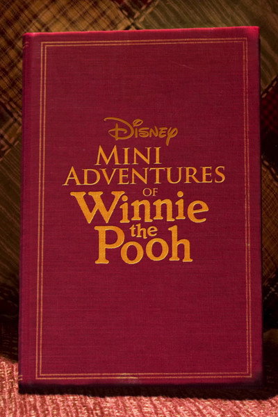Póster de Mini Adventures of Winnie the Pooh