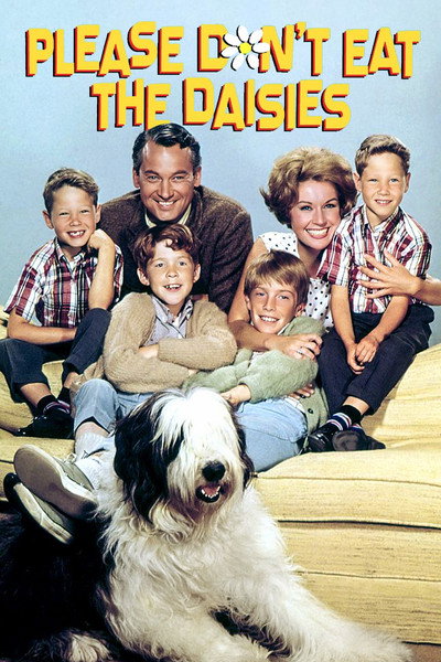 Póster de Mis hombres y yo