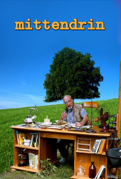 Póster de Mittendrin