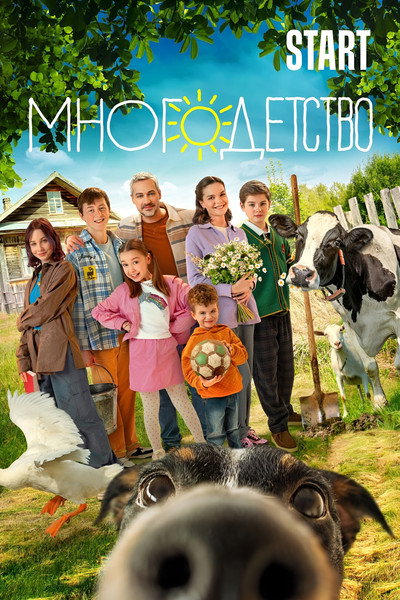 Póster de Mnogodetstvo