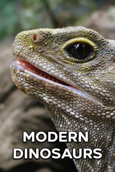 Póster de Modern Dinosaurs