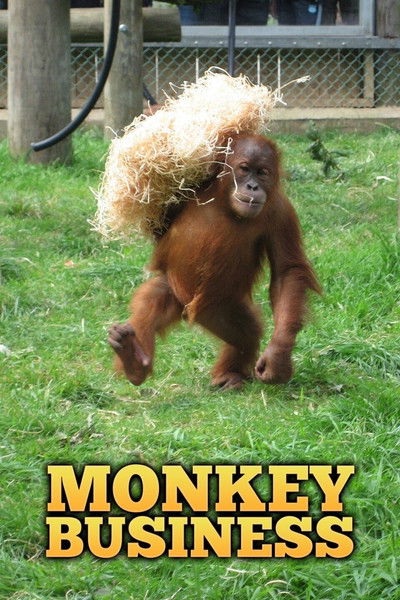 Póster de Monkey Business