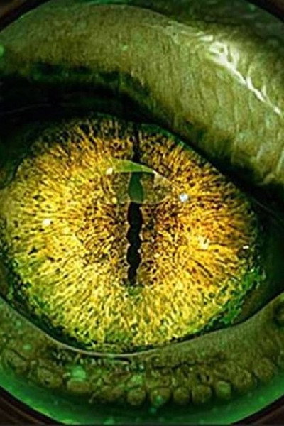Póster de Monsterquest Specials