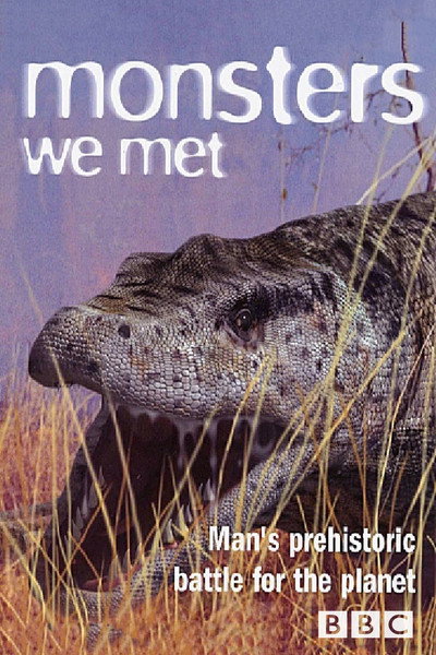 Póster de Monsters We Met