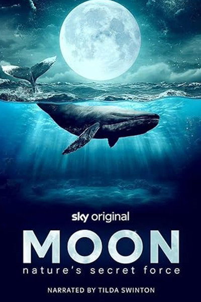 Póster de Moon: Nature's Secret Force