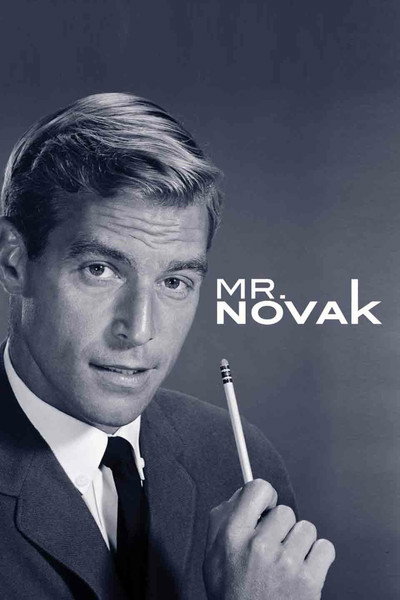 Póster de Mr. Novak