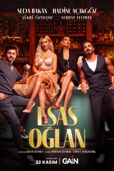 Póster de Mr. Right
