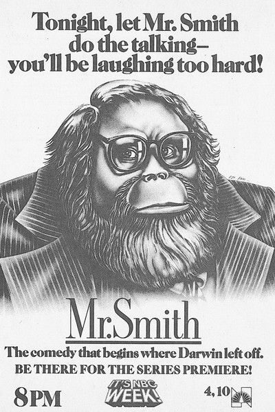 Póster de Mr. Smith