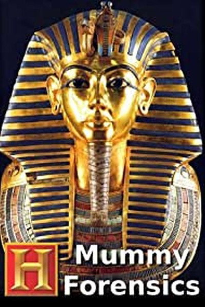 Póster de Mummy Forensics