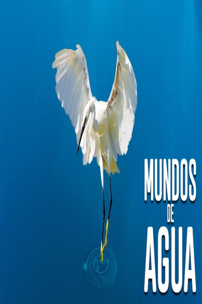 Póster de Mundos de agua