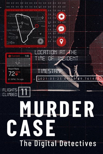 Póster de Murder Case: The Digital Detectives