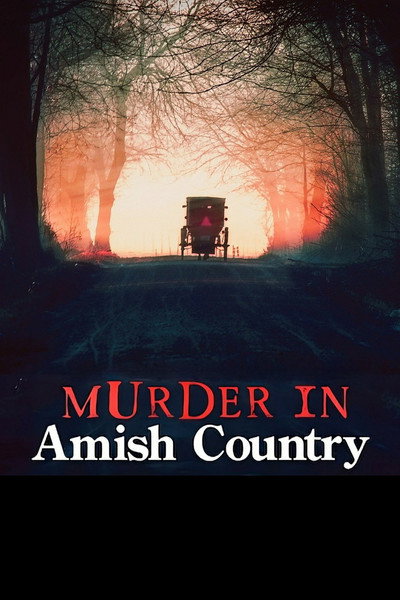 Póster de Murder in Amish Country