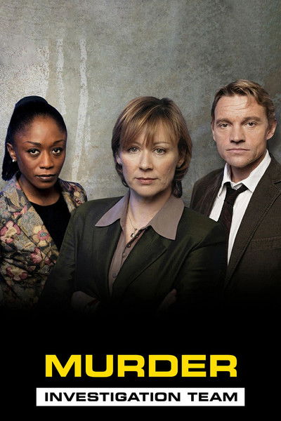 Póster de Murder Investigation Team