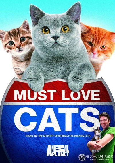 Póster de Must Love Cats