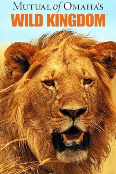 Póster de Mutual of Omaha's Wild Kingdom