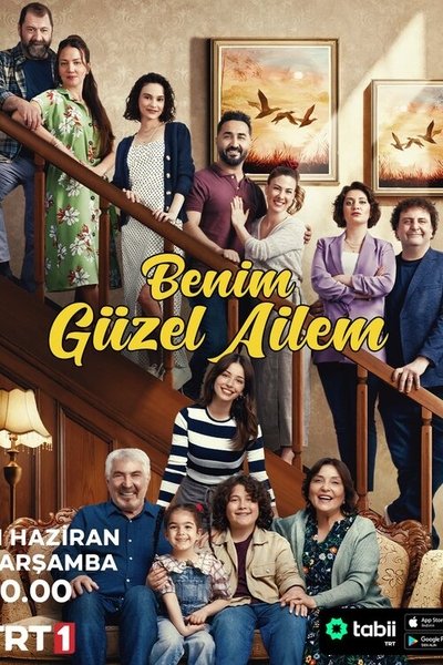Póster de My Beautiful Family