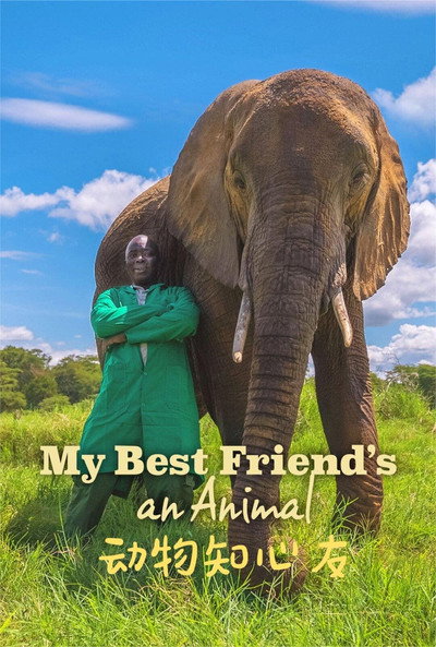 Póster de My Best Friends an Animal