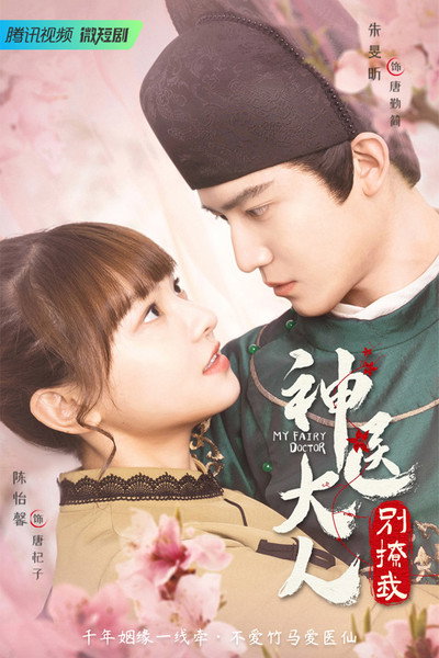 Póster de My Fairy Doctor