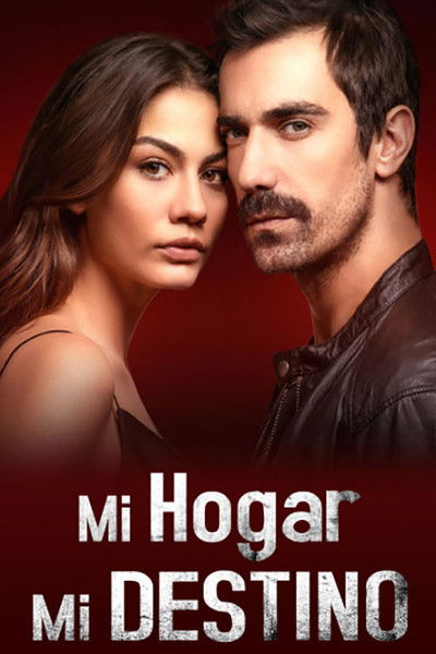 Póster de My Home My Destiny