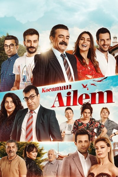 Póster de My Huge Family