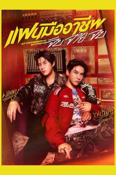 Póster de My Professional Boyfriend