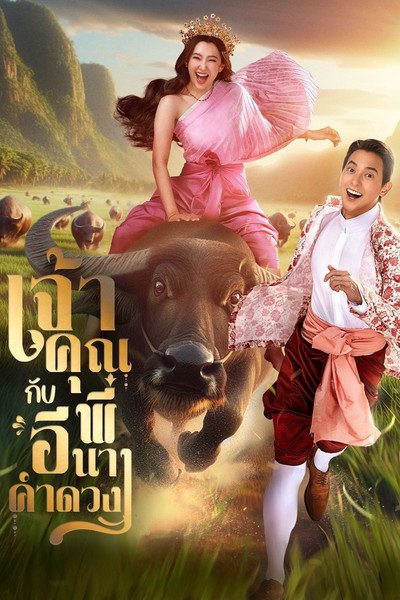 Póster de My Sassy Wedding