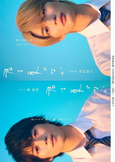 Póster de My Summer of You