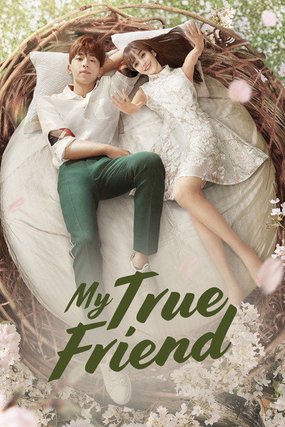 Póster de My True Friend