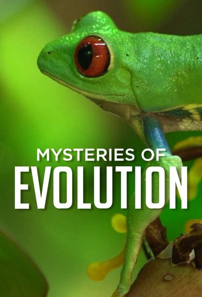Póster de Mysteries of Evolution