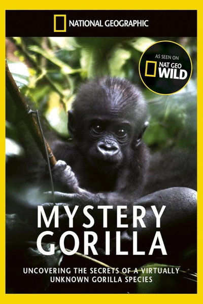 Póster de Mystery Gorillas