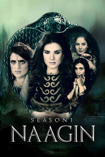 Póster de Naagin