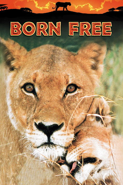 Póster de Nacida libre