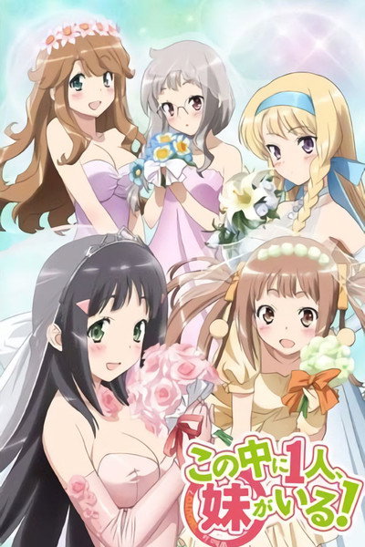 Póster de Nakaimo: My Little Sister Is Among Them