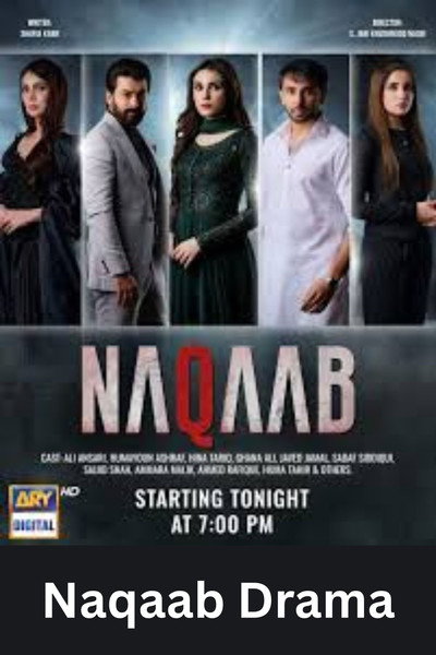 Póster de Naqaab