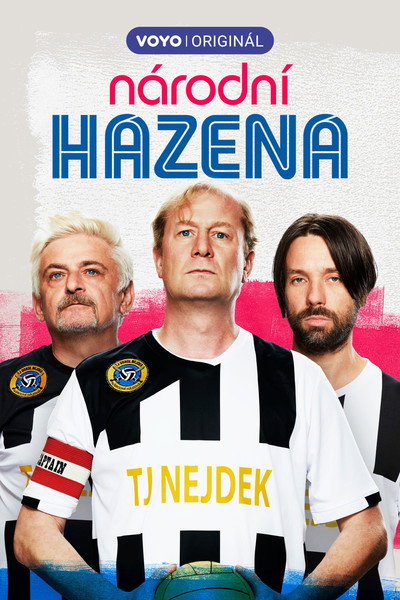 Póster de Národní házená