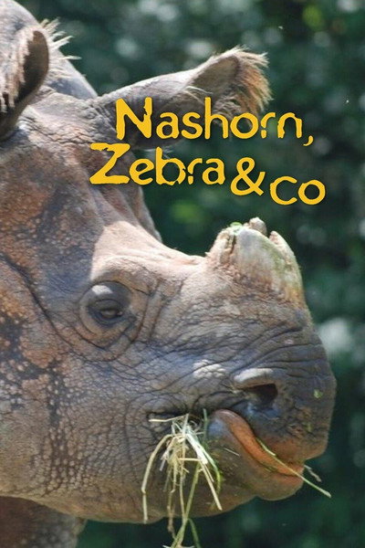 Póster de Nashorn, Zebra & Co.