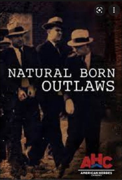 Póster de Natural Born Outlaws
