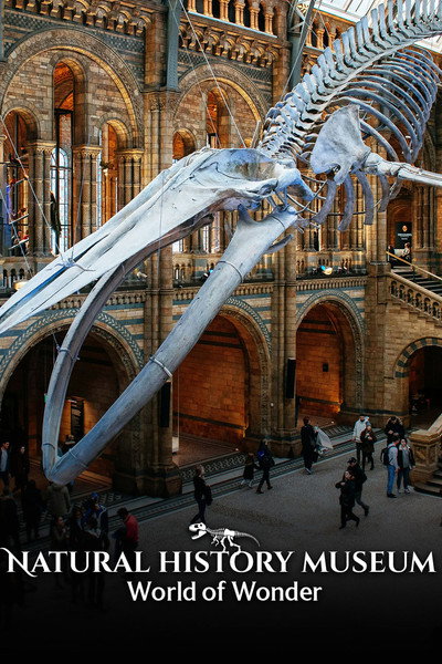 Póster de Natural History Museum: World of Wonder